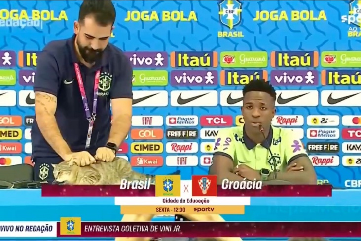 Пресс-атташе сборной Бразилии бросил кота со стола