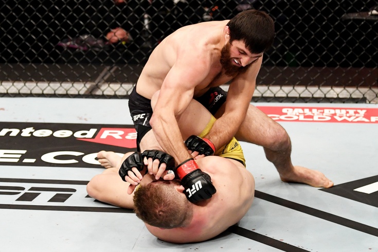 Magomed Ankalaev Pobedil Iona Kucelabu Na Ufc 254 Nokautom Video Revansha Chempionat