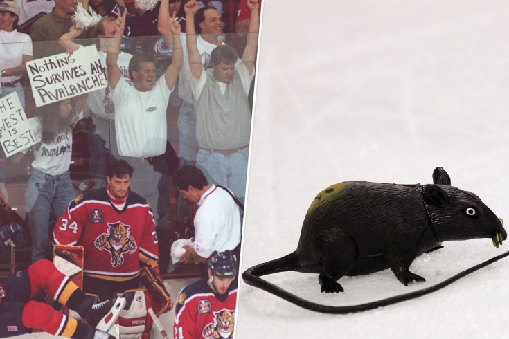 Как «Флорида» играла в финале плей-офф НХЛ в сезоне-1995/1996