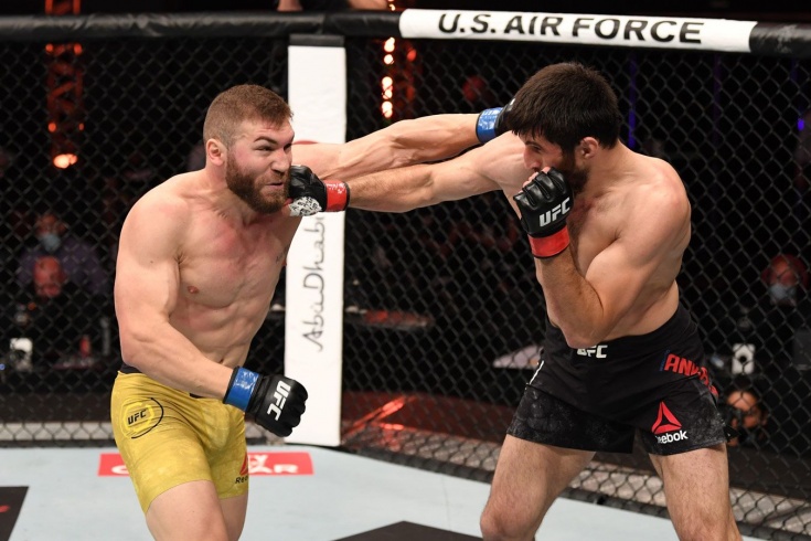 UFC 254: Магомед Анкалаев нокаутировал Иона Куцелабу в первом раунде в реванше