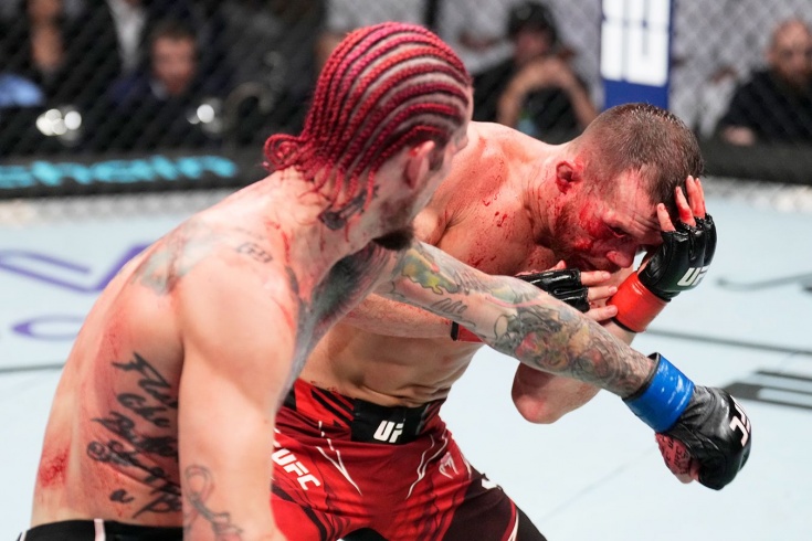 UFC 280: Пётр Ян — Шон О’Мэлли, как закончился поединок, кто победил, спорное судейское решение, мнения о результате