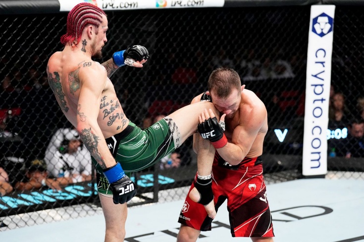 UFC 280: Пётр Ян — Шон О'Мэлли, результат, кто выиграл, разбор боя -  Чемпионат