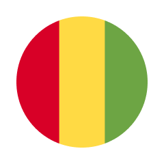 Сборная Гвинеи — Футбол