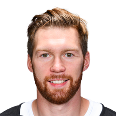 Владислав Гавриков