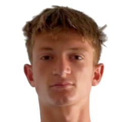 Раду-Давид Туркану