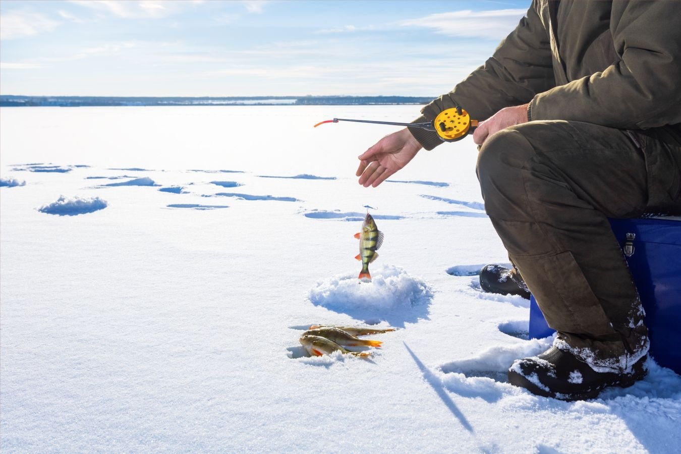 Чемпионат Белгородской области